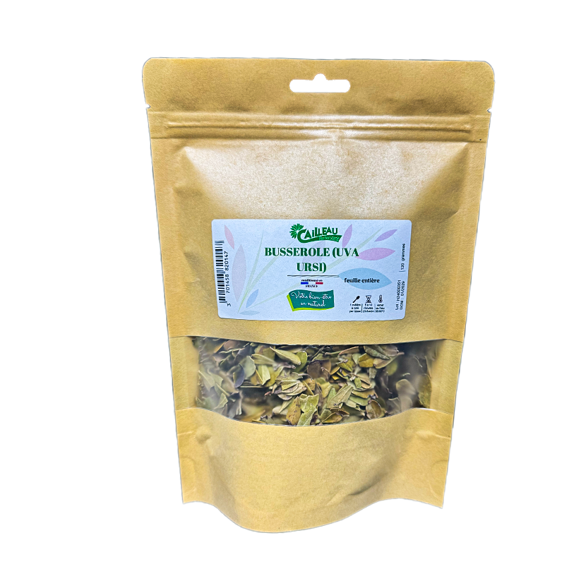 Busserole (Urva Ursi) Feuille Entière