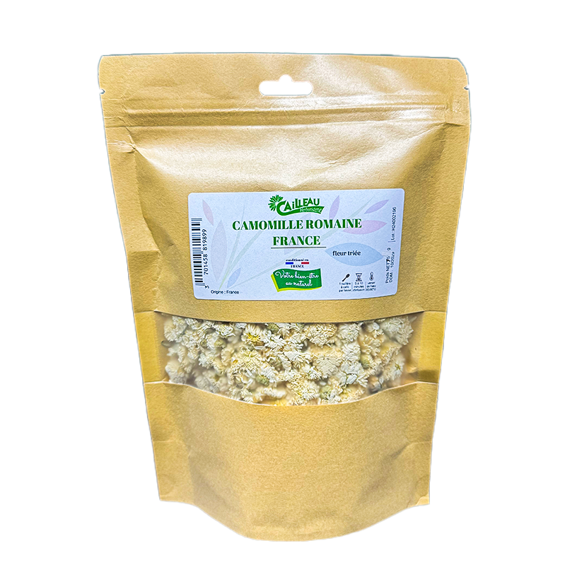 Camomille Romaine Capitule Floral Trié