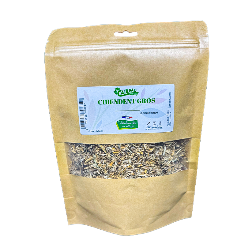 Chiendent Gros Rhizome Coupé