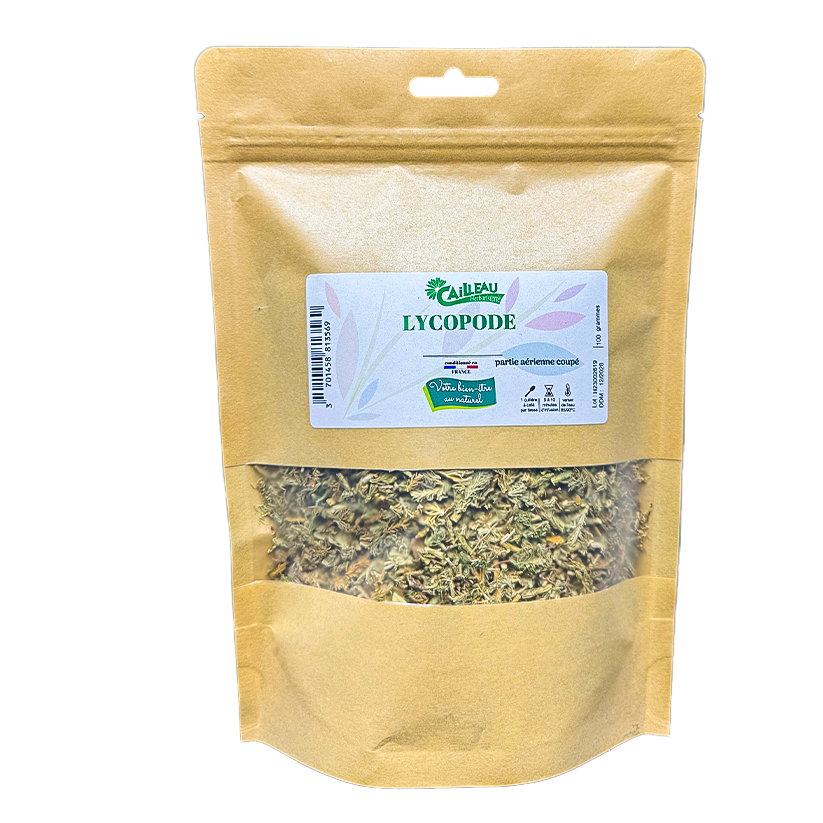 Lycopode Partie Aérienne Coupé
