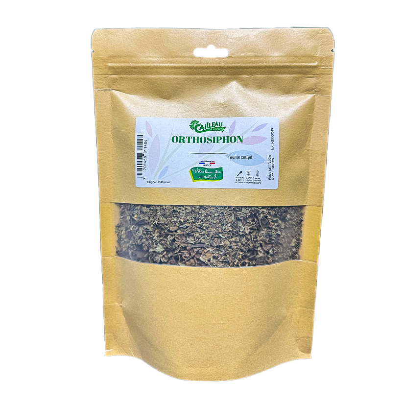 Orthosiphon Feuille Coupé
