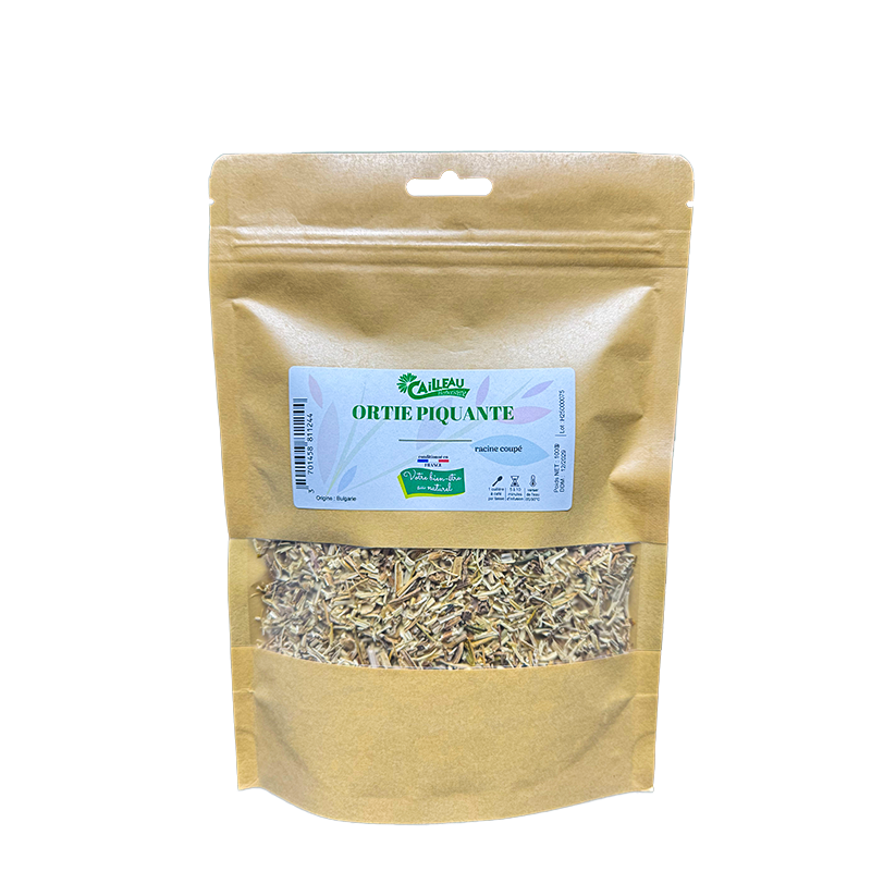 Ortie Piquante Feuille Coupé