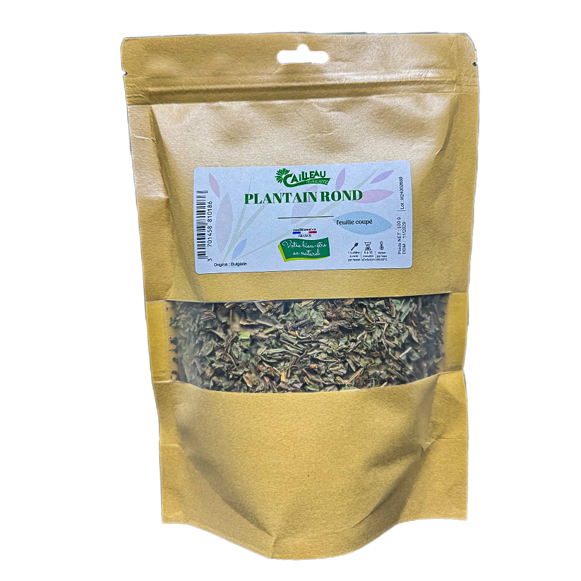 Plantain Rond Feuille Coupé